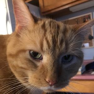 Meet your Posher, Ruth